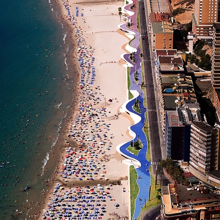 ESTUDIO DE VEGETACIÓN PASEO PONIENTE BENIDORM